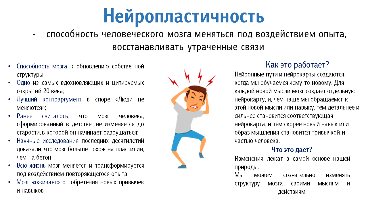 neiro1.png